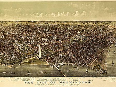 The City of Washington by  Currier & Ives, 1892 Hot on Sale