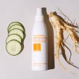 Cucumber & Ginseng Facial Mist Supply